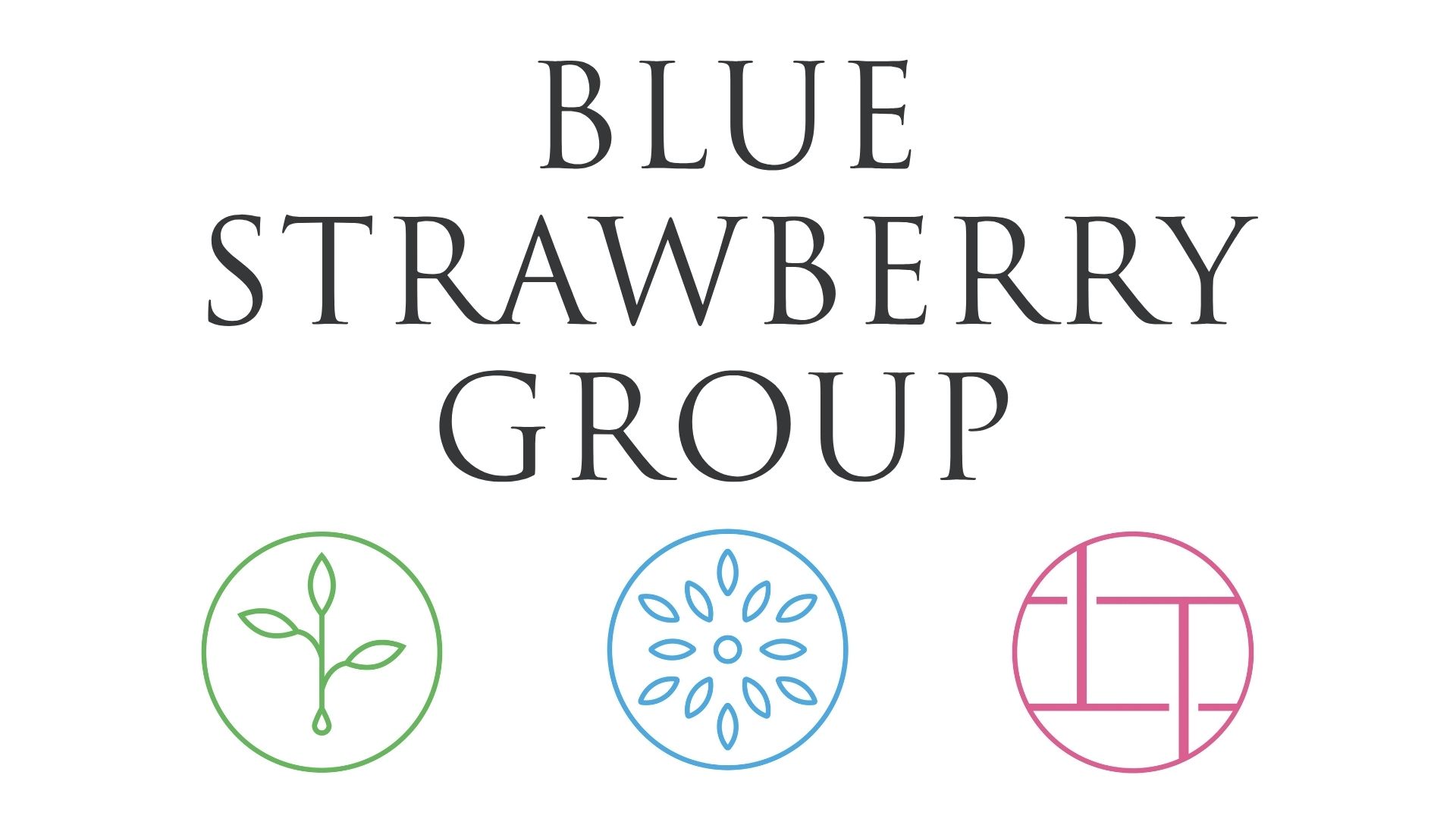 Skinners hall christmas